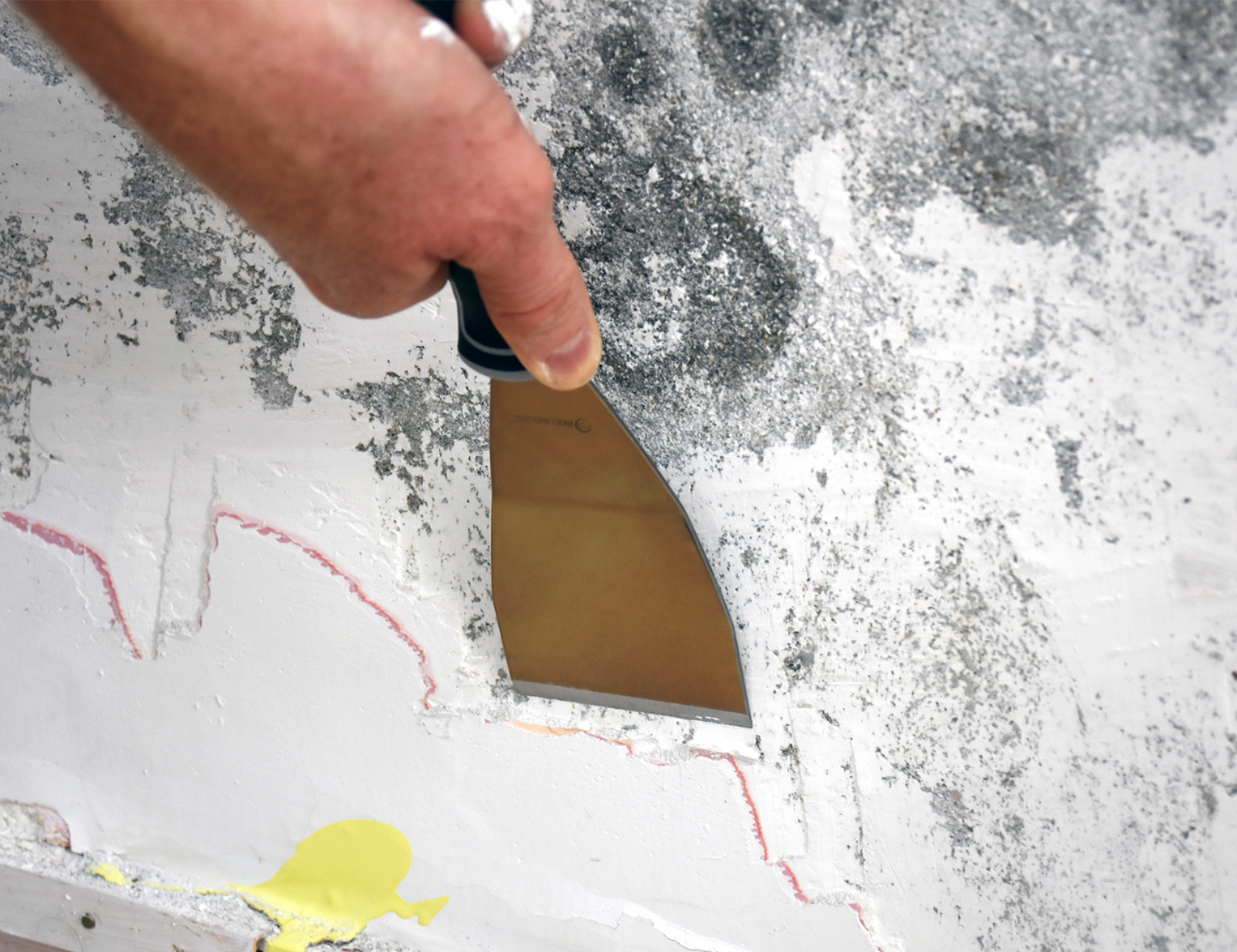 50447-painter using scraper to remove paint