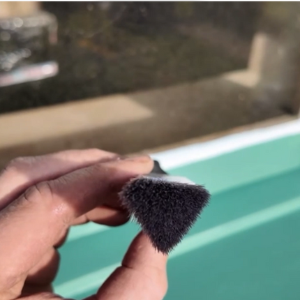 Person holding a small black and white object in front of a green door with a window.